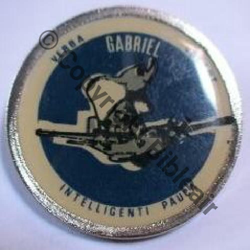 NH INS ou PINS GABRIEL Fab Locale Sc.mchejp  15Eur08.07